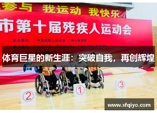 体育巨星的新生涯：突破自我，再创辉煌